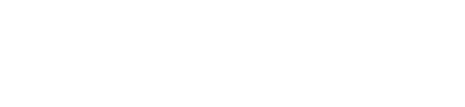 LAYER SOCIETY